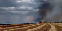 Пожар на пшеничном поле потушили в Ростовской области - DonDay.Ru