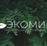 Стартовал ежегодный Международный экологический конкурс «ЭкоМир-2026» - Минприроды Алтайского края
