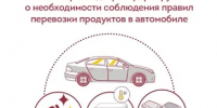 Как избежать быстрой порчи еды в замкнутом пространстве машины - Городской округ город Первомайск
