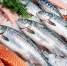 Почти 134 кг рыбной продукции изъяли в рыбном павильоне в Архангельске - ИА Dvina29