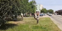 Коммунальщики Невинномысска продолжают борьбу с сорняками - Администрация г. Невинномысска