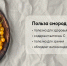 Смородина защищает организм от радиации - Газета Новости Кунгурского края