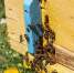 1aznlgnpb6qsriv7jxs8lmw7ah0btdn0.jpg - Primorye24.Ru