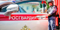 Росгвардейцы задержали мужчину, похитившего мобильный телефон у знакомой - Росгвардия