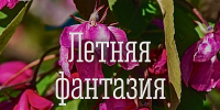 Продолжается прием заявок на участие в общегородском конкурсе «Летняя фантазия» - Город Мурманск