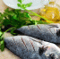 Рыба – полезный и вкусный продукт - Газета Алатырские вести