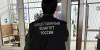 В Ингушетии попал под суд за попытку мошенничества гендиректор фирмы - Сердало