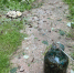 InShot_20260716_141108616 - ЗА Новомосковск