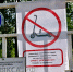 В парке и лесопосадке запретили кататься на электросамокатах и гироскутерах - Выкса.РФ