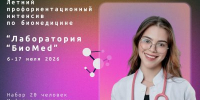 Владимирские школьники защитят проектные работы по биомедицине и физиологии человека - Администрация области
