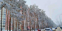 С воронежского ТСЖ за упавший на автомобиль снег взыскали 93,4 тыс рублей - ВестиПК в Воронеже