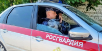 У парка Металлургов росгвардейцы нашли трёхлетнего мальчика - Gorod48.ru