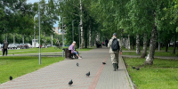 Резкие заморозки ударят по нескольким районам Кировской области - ProGorod.Ru