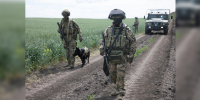 Более 300 взрывоопасных предметов обнаружили росгвардейцы в зоне СВО - Росгвардия