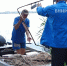 Воронежское водохранилище проверили на содержание химикатов - ГТРК Воронеж