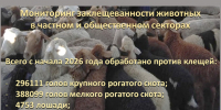 Профилактика Крымской геморрагической лихорадки. - Администрация г. Ессентуки