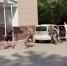 В Новосибирске задержали угрожавших расправой полицейским рецидивистов - Precedent.TV
