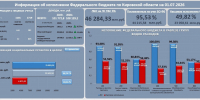 Мониторинг исполнения федерального бюджета по состоянию на 01.07.2026г. - УФК по Кировской области