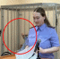 Липчанина отправили в СИЗО за поножовщину на Олимпийском бульваре в Воронеже - ГТРК Воронеж
