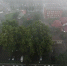 © Фото Елены Синеок, Юга.ру - Yuga.Ru