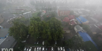 © Фото Елены Синеок, Юга.ру - Yuga.Ru