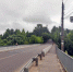 На мосту через Томну в Кинешме лопнуло крепление для кабелей - 168.Ru