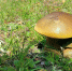 i - 2026-07-16T132646.362.jpg - Молодой коммунар