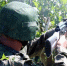 ВС РФ начали заходить в окрестности Славянска - M24.Ru
