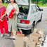 сур - Газета Сурские просторы