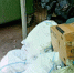 Контрольно-надзорные мероприятия Государственной жилищной инспекции продолжаются - Госжилинспекция Саратовской области