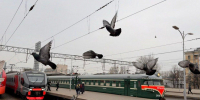 Ретропоезд доставит гостей на фестиваль скорости «Гараж Фест» - Spbdnevnik.ru
