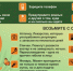 Правила поведения в лесу - Комитет ГО и ЗН