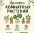 Курян приглашают на ярмарку комнатных растений - Городские Известия