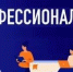 Информация Контрольно-счетной палаты Вологодской области о принятых мерах по результатам контрольного мероприятия - Контрольно-счетная палата