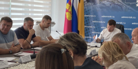 В Новороссийске прибавилось бездомных собак из-за нехватки бензина - Газета Новороссийский рабочий