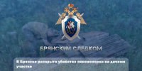 В Брянске раскрыто убийство пенсионерки на дачном участке - Следственный комитет