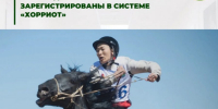 На скачки Наадыма допустят только зарегистрированных в системе «Хорриот» лошадей - ИА Тува-Онлайн