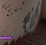 До конца года в Калининграде и Черняховске планируется новоселье аварийщиков - Kaskad.TV