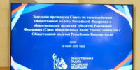 В Башкортостане представлен системный подход к защите молодежи от деструктивного контента - Общественная палата РБ