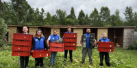 Более 150 животных остались без крова из-за урагана в Подмосковье - Pro-Pushkino.Ru