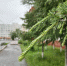 В Магадане +10, +14°C, дожди - Газета Магаданская правда