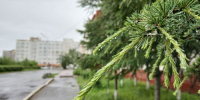В Магадане +10, +14°C, дожди - Газета Магаданская правда