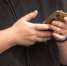 «Макс» и VK удалили из Google Play - 2Goroda.Ru