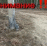 Наезд на опору ЛЭП в Советском. Розыск очевидцев - 2Goroda.Ru