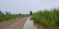 Вода почти ушла с дороги на подъезде к селу на севере Приамурья - ИА Порт Амур