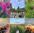 PhotoCollage_1784256934410.jpg - ГАУЗ КО ОКЦОЗШ