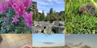PhotoCollage_1784256934410.jpg - ГАУЗ КО ОКЦОЗШ