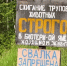 Природоохранная прокуратура проверит ситуацию с огромной свалкой в селе Тангуй Братского района - Братская Студия Телевидения