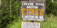 Природоохранная прокуратура проверит ситуацию с огромной свалкой в селе Тангуй Братского района - Братская Студия Телевидения
