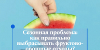 картинка с арбузом - Администрация г. Рубцовск